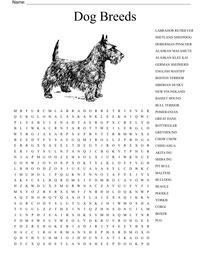 Dog Breeds Word Search WordMint Dog Breeds Word Search WordMint